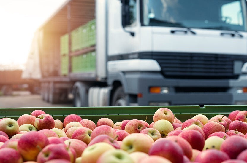 The Science Behind Nutritional Value: Freshly Harvested vs. Supermarket Vegetables